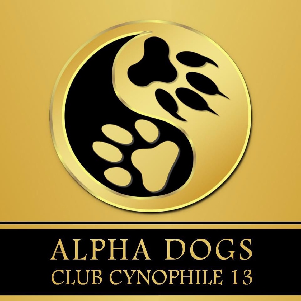Des Mas Star De La Cannaie - Alpha Dogs